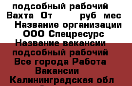 подсобный рабочий . Вахта. От 30 000 руб./мес. › Название организации ­ ООО Спецресурс › Название вакансии ­ подсобный рабочий - Все города Работа » Вакансии   . Калининградская обл.,Советск г.